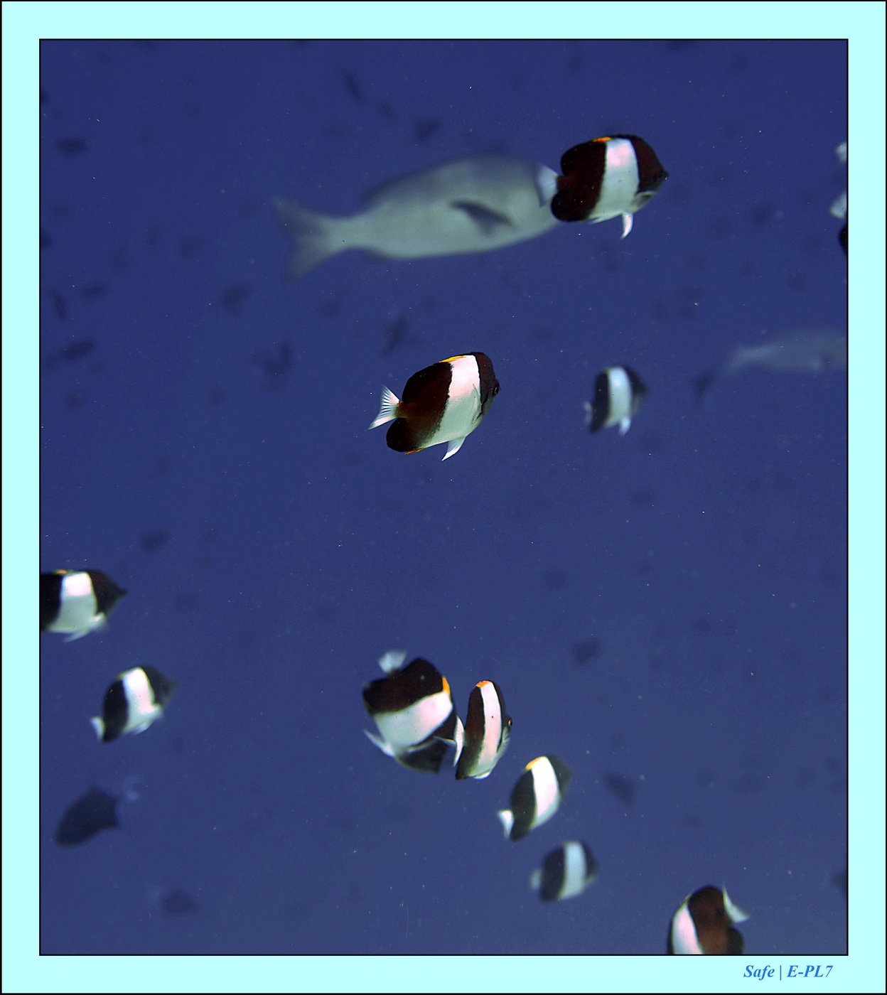 2023 - 07 - Sandies Bathala - 177